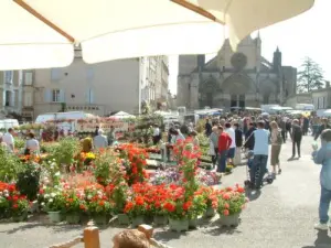 Marché aux Fleurs