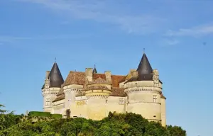 Castillo toldos