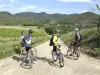 Bédarieux - bicicleta de montaña