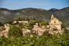 Bédoin - Guide tourisme, vacances & week-end dans le Vaucluse