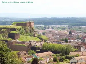 Belfort e o castelo visto do Miotte (© Jean Espirat)