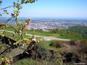 Belfort visto de Salbert