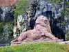 Lion de Belfort - 建筑物在Belfort