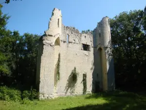 Saint-Cyr-en-Bourg - Casa fuerte de La Bouchardière