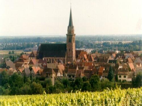 Bergheim - Bergheim vue du vignoble