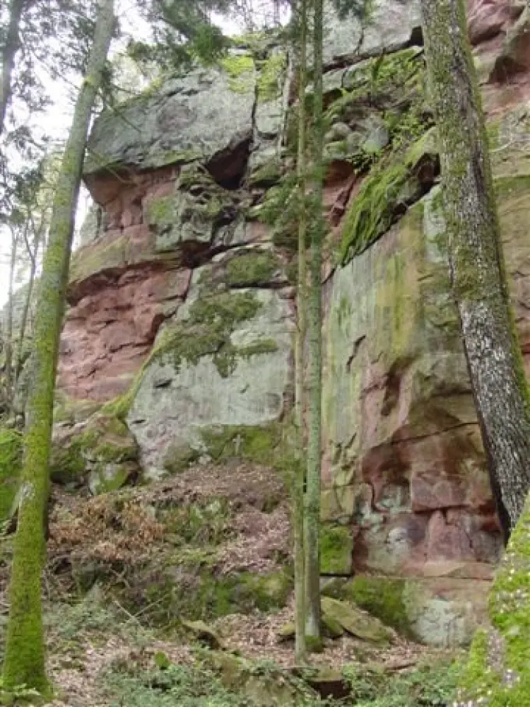 Photos Bergholtz Tourisme, Vacances & Weekend