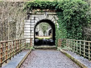 acceso al túnel de madera dura de Oye (© J.E.)