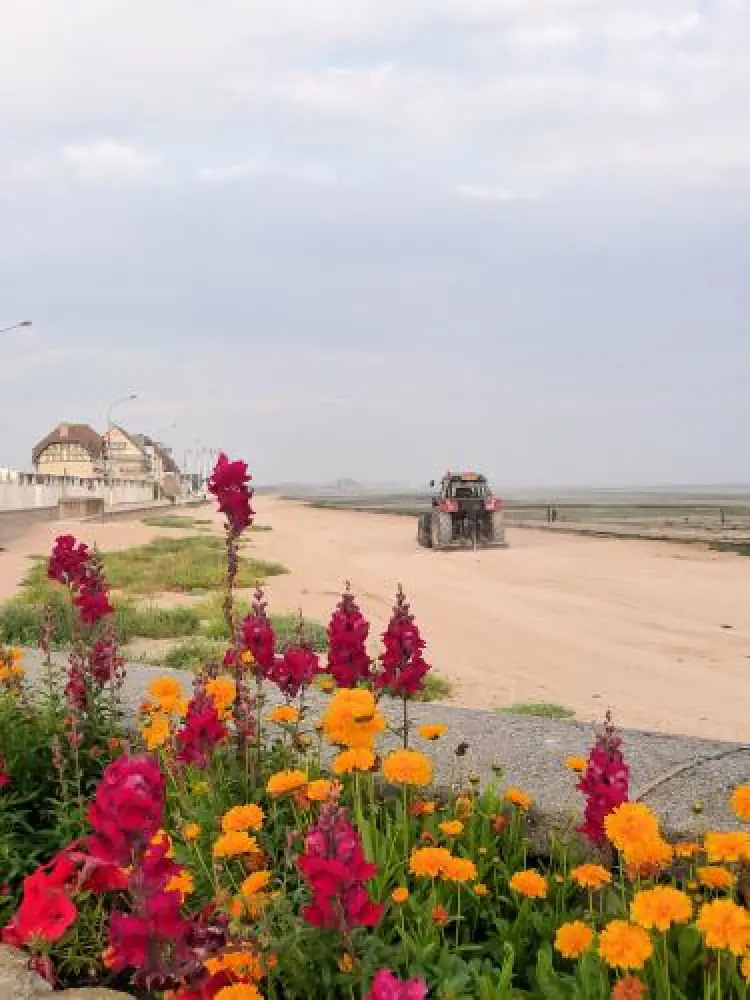 Bernières-sur-Mer - Plage - Entretien