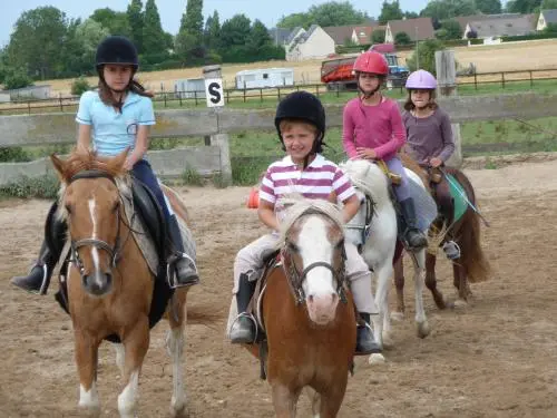 Bernières-sur-Mer - Sports - Équitation - Apprentissage
