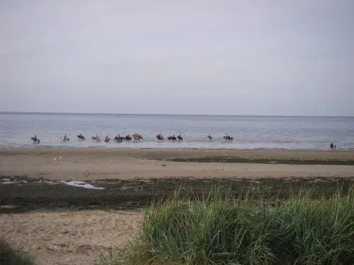 Bernières-sur-Mer - Sport - Reiten - Wandern