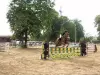 スポーツ - 乗馬 - 馬ショー