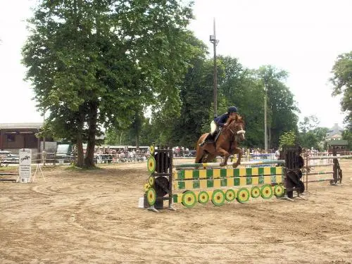 Bernières-sur-Mer - Sports - Équitation - Concours Hippiques