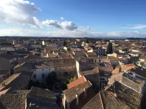 I tetti del centro storico