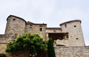 The castle