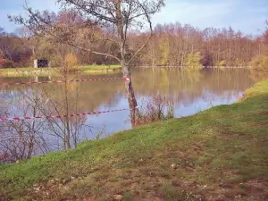 Étang du moulin des bois