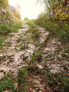 ancient Roman road called Chemin (© Jean Espirat)