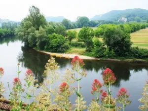 de Dordogne