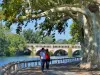 Canal du Midi - Béziers