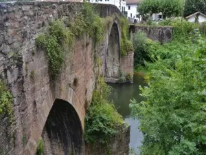 Brücke über die Nive