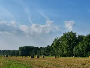 Chemin de la Minardière