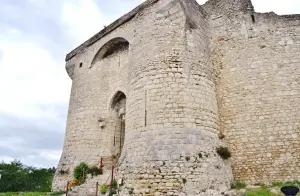 The castle