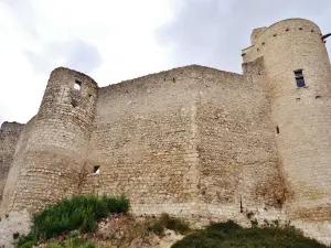 The castle