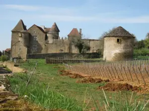 Castle Pontus de Tyard
