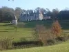 Château de L'Ambroise - Monument à Blaison-Saint-Sulpice