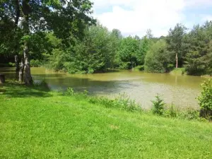 Oger - De gebakjes van Oger en Mesnil-sur-Oger