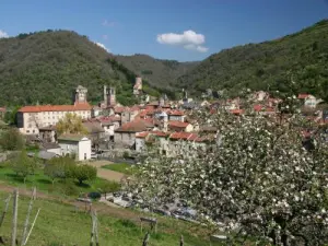 Blesle vue du Bucheron