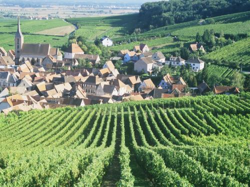 Bilder Blienschwiller Tourismus, Urlaub & Wochenenden