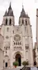 Cattedrale di St. Louis