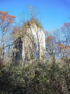 Turm von Châtelot anzuzeigen Westseite (© Jean Espirat)