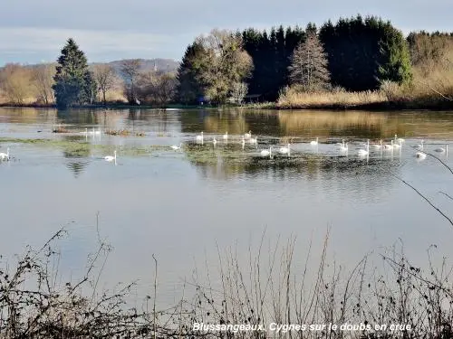 Photos Blussangeaux Tourisme, Vacances & Weekend