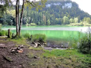 orilla este del lago Bonlieu (© JE)