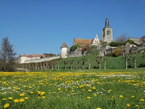 Bonny-sur-Loire - Tourism, holidays & weekends guide in the Loiret