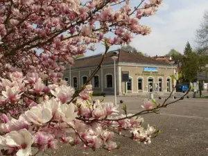 Place des Bains