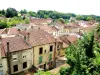 Panorama Sud, depuis le parc du château (© J.E)