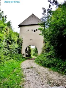 puerta medieval, vista lateral oeste ( © Jean Espirat )