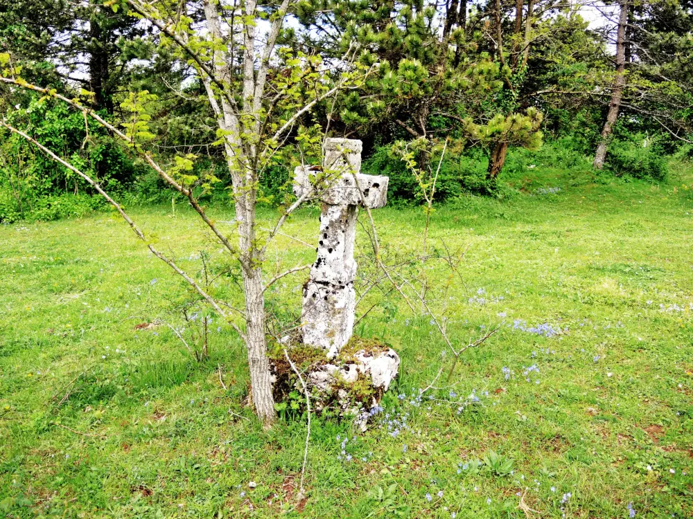 Photos BourguignonlèsMorey Tourisme, Vacances & Weekend