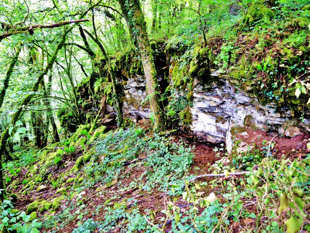 Photos BourguignonlèsMorey Tourisme, Vacances & Weekend