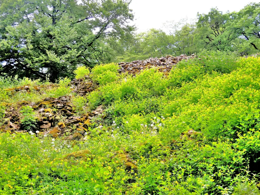 Photos BourguignonlèsMorey Tourisme, Vacances & Weekend