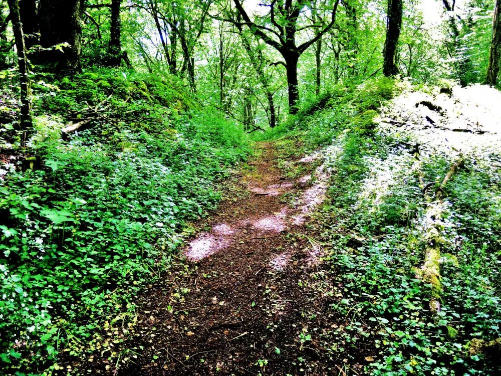 Photos BourguignonlèsMorey Tourisme, Vacances & Weekend