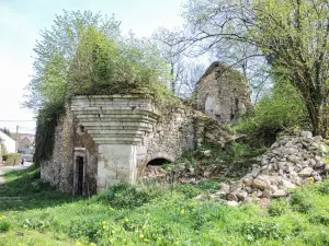 Ruines de l'ancien château (© J.E)