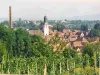 Bouxwiller - Guide tourisme, vacances & week-end dans le Bas-Rhin