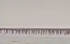 Oyster Parks