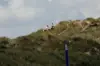 Rangers
