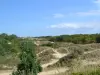 Dunes