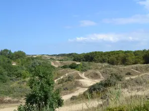 Dunes