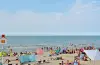 The beach